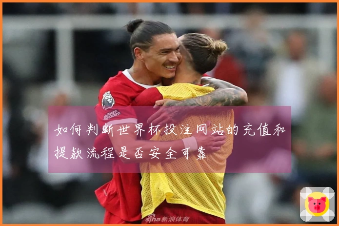 如何判断世界杯投注网站的充值和提款流程是否安全可靠
