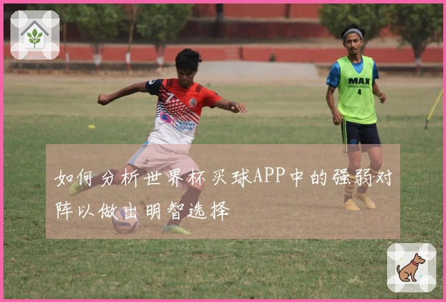 如何分析世界杯买球APP中的强弱对阵以做出明智选择