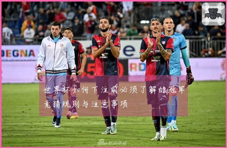 世界杯如何下注前必须了解的冠军竞猜规则与注意事项