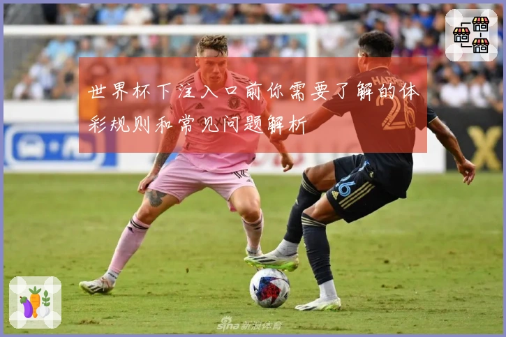 世界杯下注入口前你需要了解的体彩规则和常见问题解析