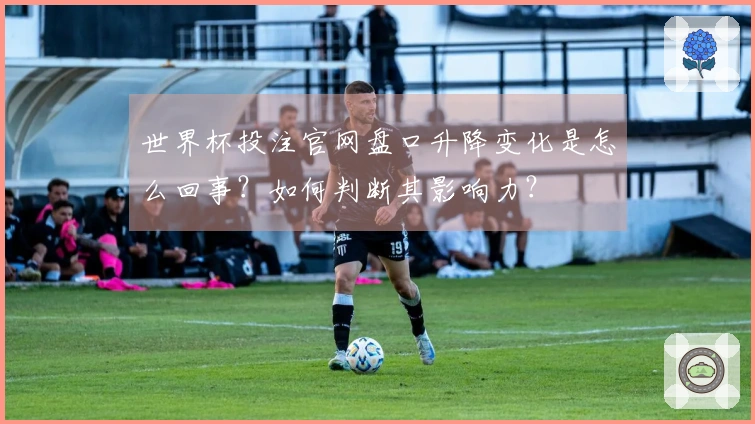 世界杯投注官网盘口升降变化是怎么回事？如何判断其影响力？