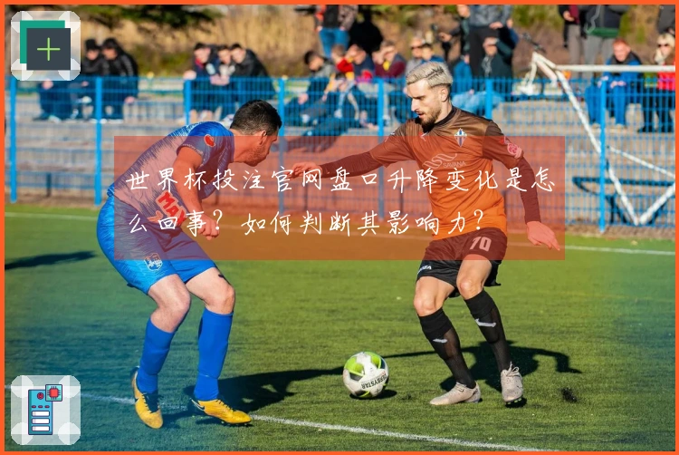 世界杯投注官网盘口升降变化是怎么回事？如何判断其影响力？